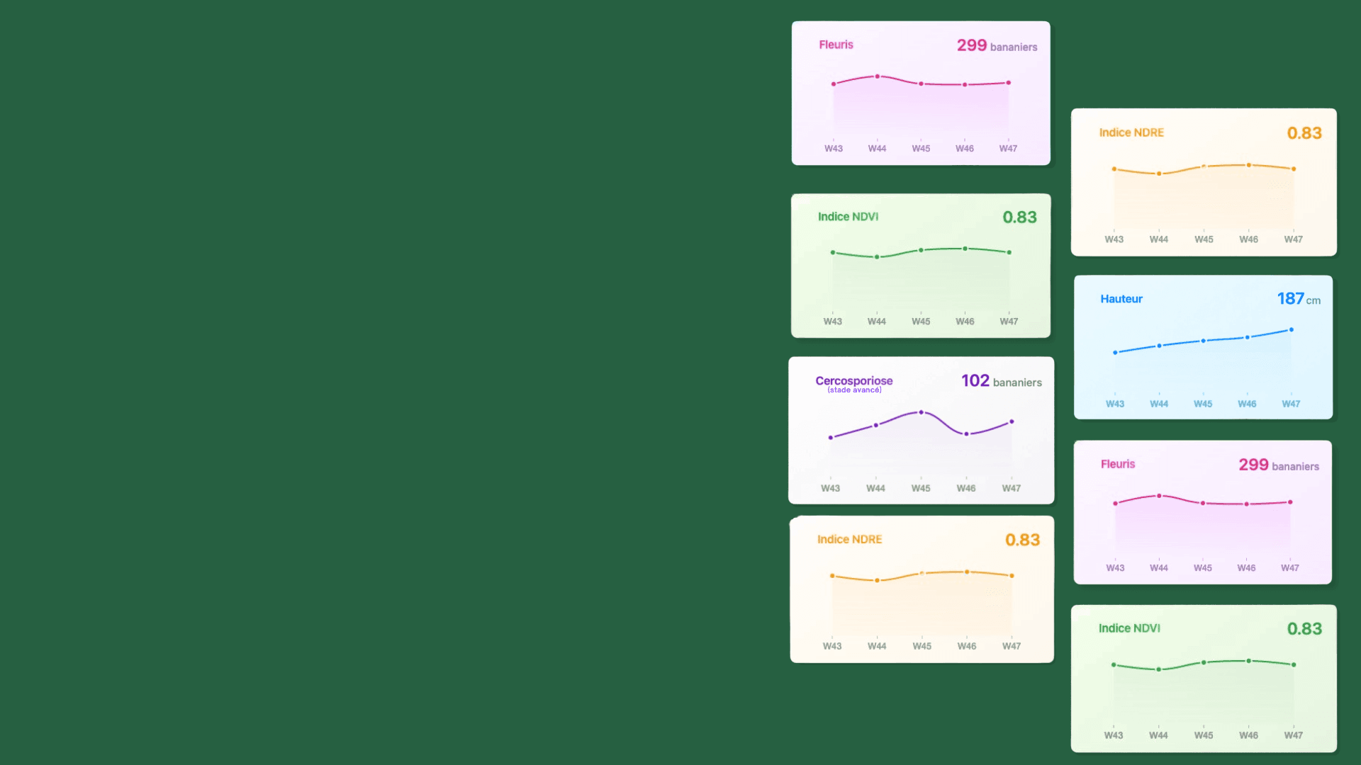 Fond vert avec lueur jaune-orangée