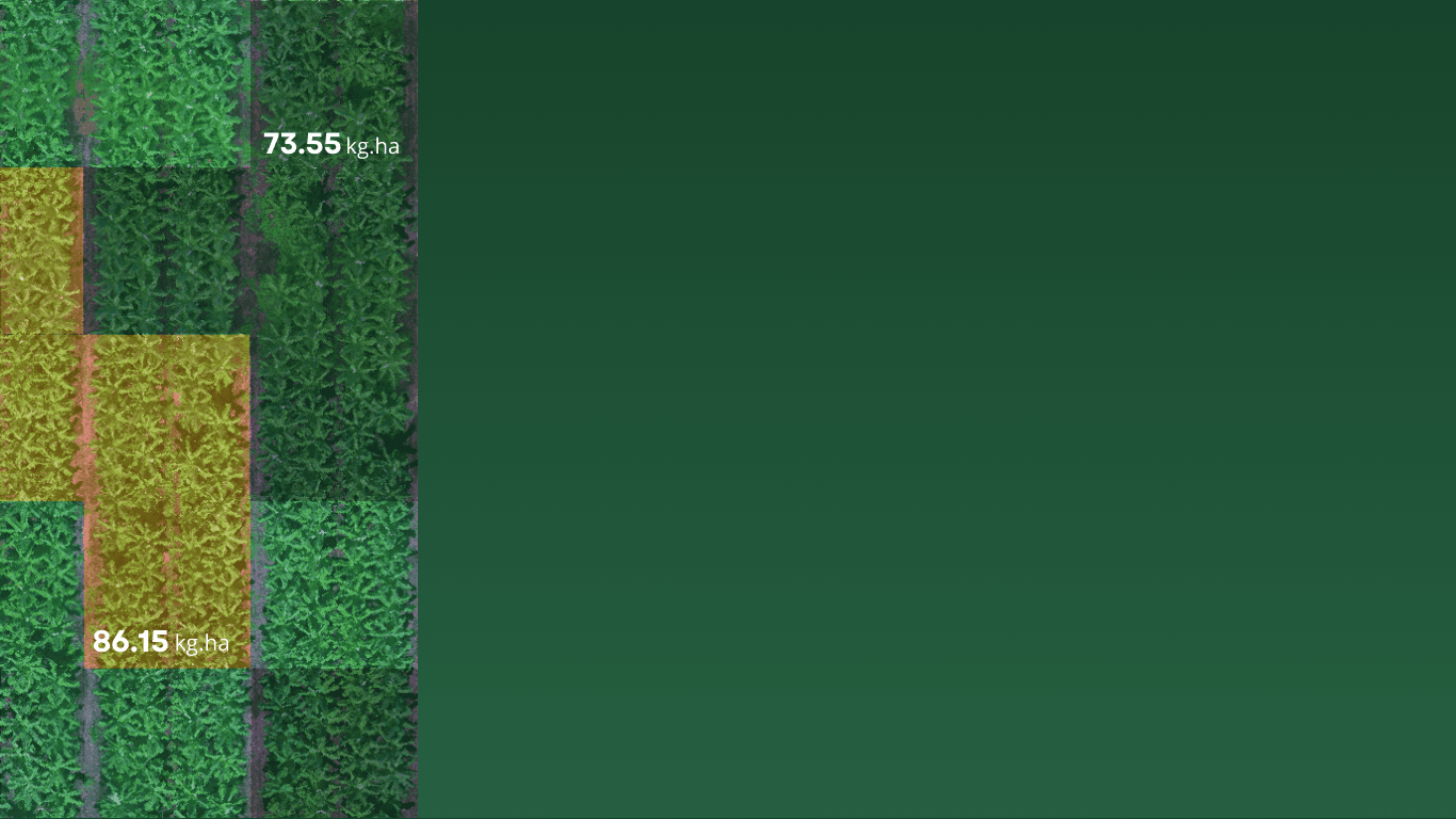 Fond vert avec lueur jaune-orangée