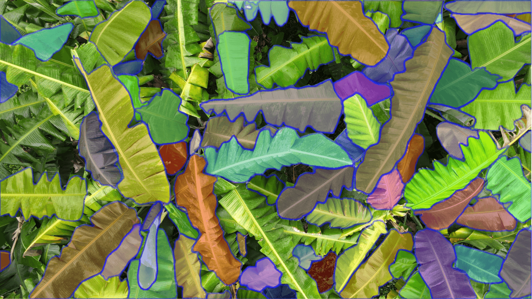 Palm tree plantation background